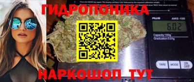 apvp Ирбит