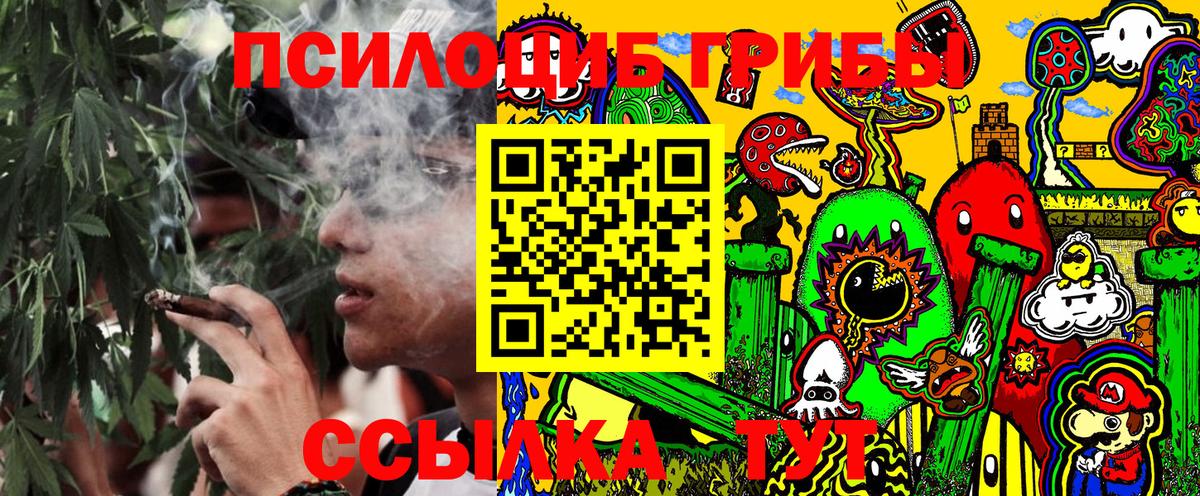 Галлюциногенные грибы MAGIC MUSHROOMS  Псилоцибиновые грибы мицелий  Вход с VPN  Красноуфимск 
